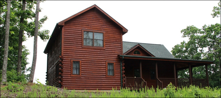 Professional Log Home Borate Application  Clay County, Alabama